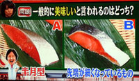 世界一受けたい授業 鮭の切り身の選び方