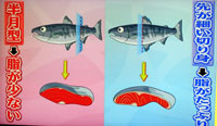 世界一受けたい授業 鮭の切り身の選び方