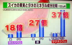 となりのマエストロ 現代農業