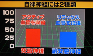 自律神経バランスとは