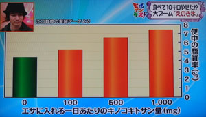 えのき氷ダイエット-ヒルナンデス