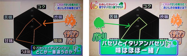 モジャモジャのパセリを美味しくたっぷり食べれる方法