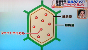 免疫力アップスープ（はなまるマーケットより）