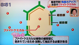 免疫力アップスープ（はなまるマーケットより）